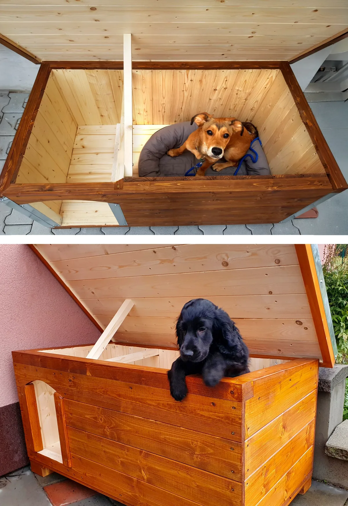 isolierte-hundehütte-mit-aufklappbarem-dach